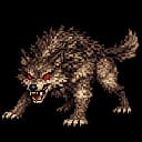 forest wolf